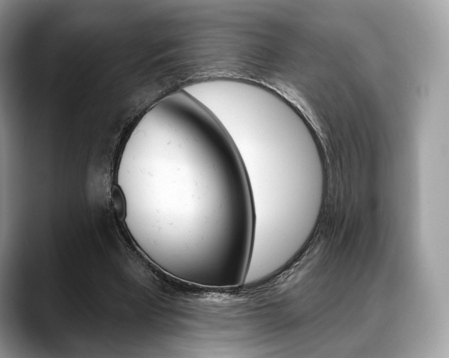 X0000088710393200705311042