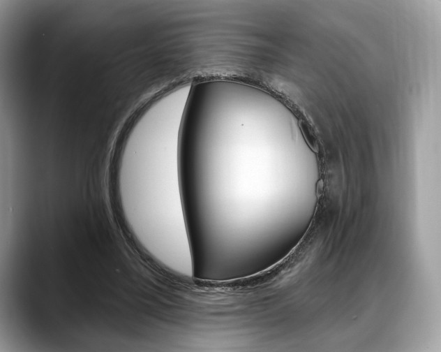 X0000088710395200705311042
