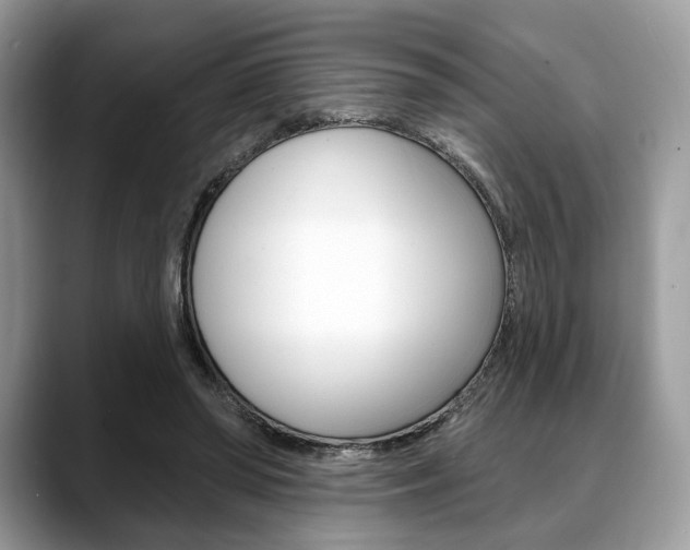 X0000088710398200705311042