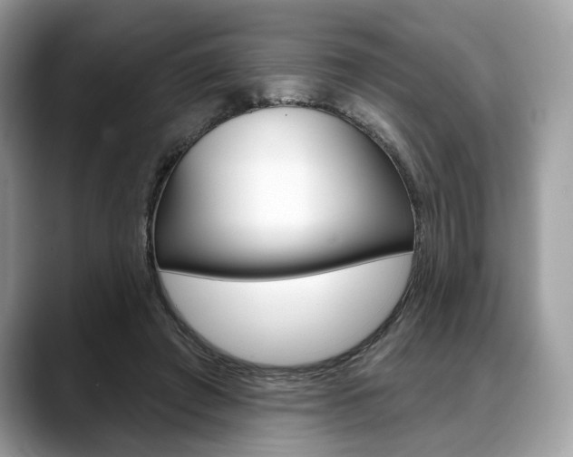 X0000088710401200705311042
