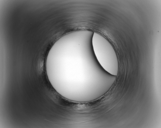 X0000088710406200705311042