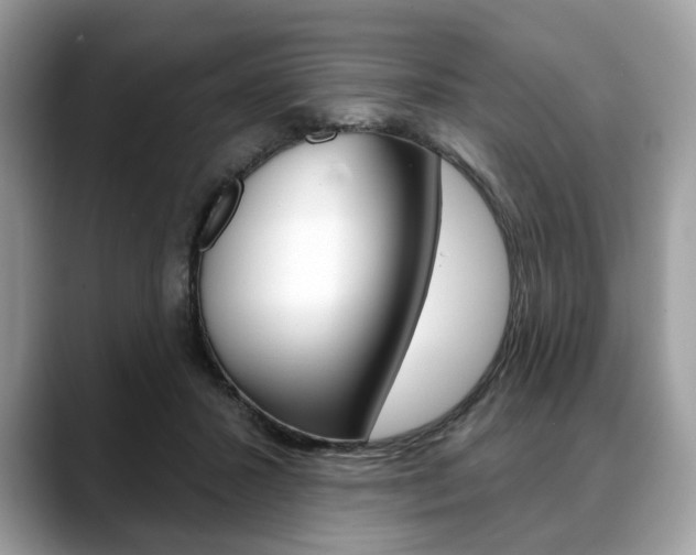 X0000088710407200705311042