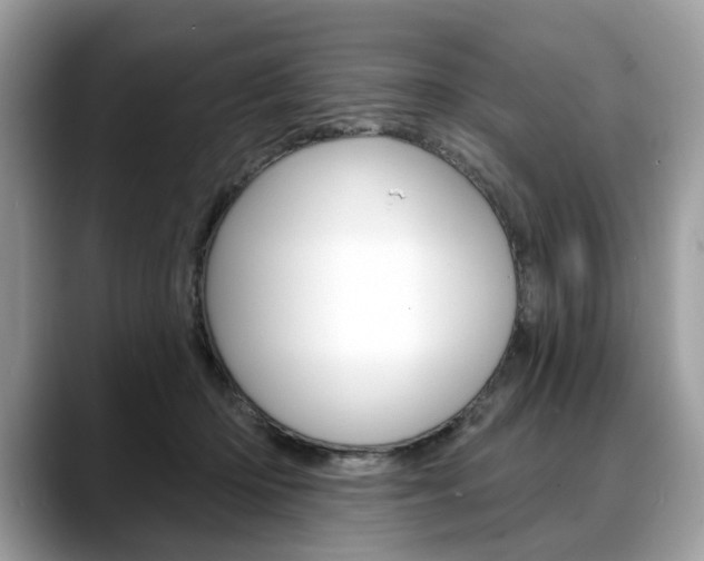 X0000088710414200705311042