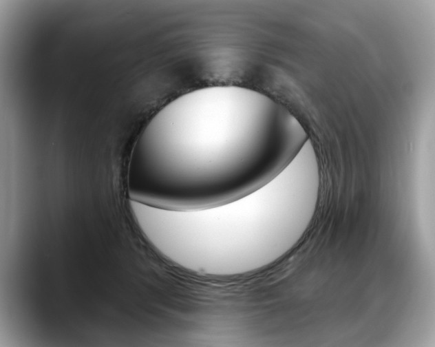 X0000088710416200705311042