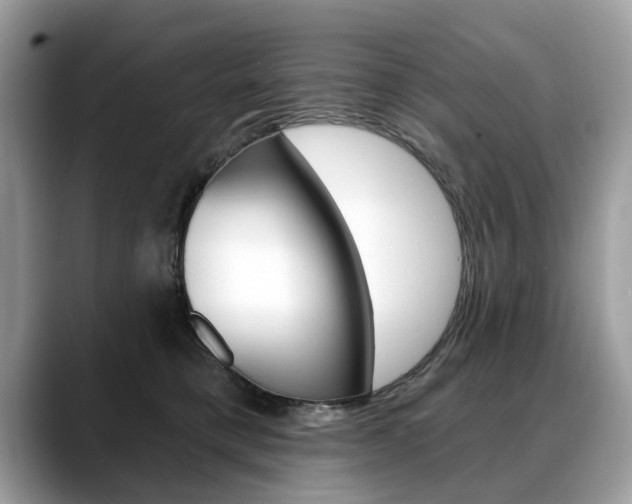 X0000088710421200705311042