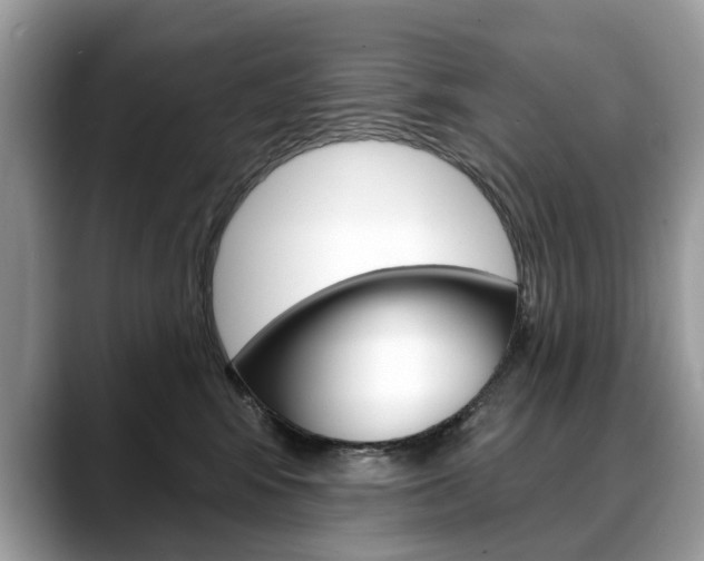 X0000088710424200705311042