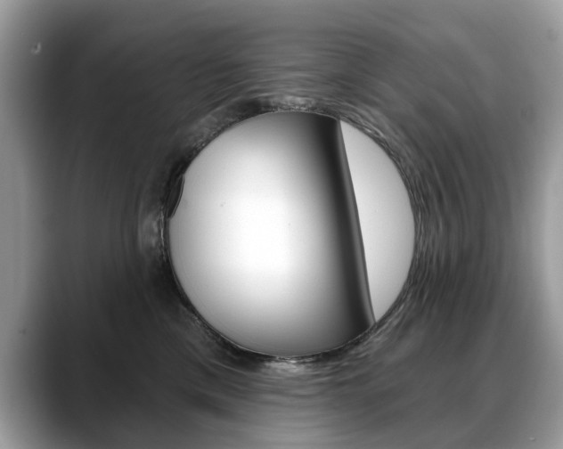 X0000088710425200705311042
