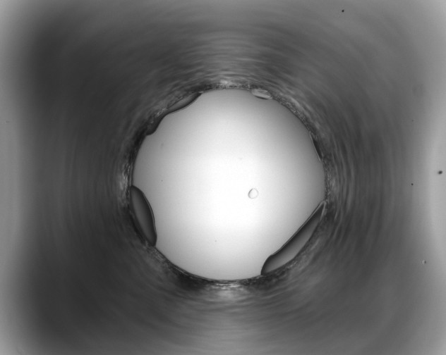 X0000088710427200705311042