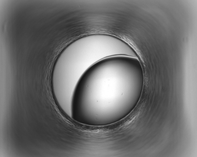 X0000088710433200705311041