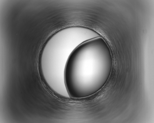 X0000088710434200705311041