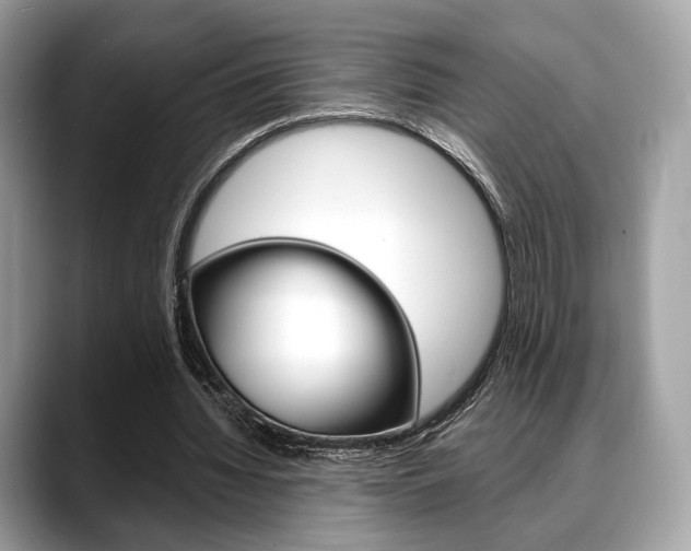 X0000088710436200705311041