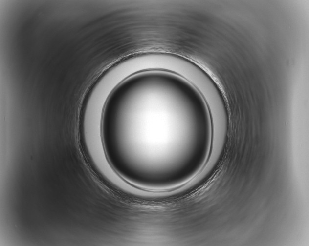 X0000088710437200705311041