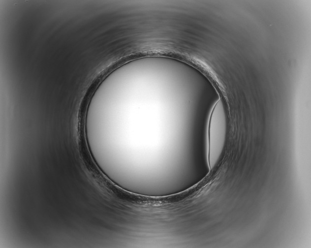 X0000088710439200705311041
