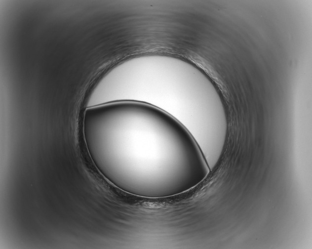X0000088710442200705311041
