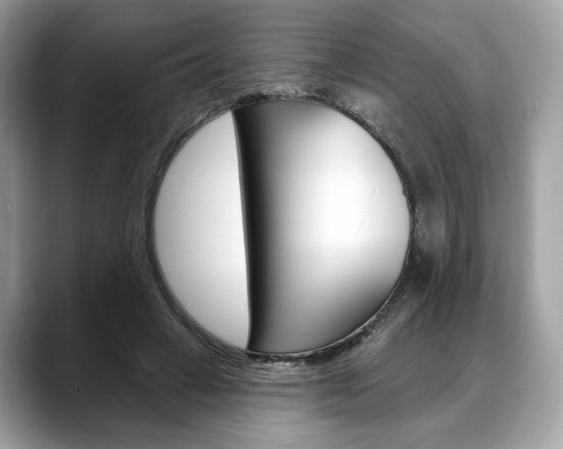 X0000088710449200705311041