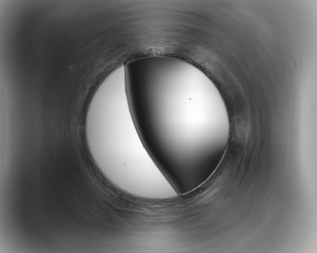 X0000088710450200705311041