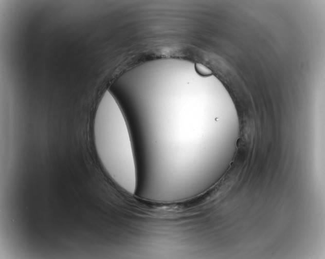 X0000088710461200705311042