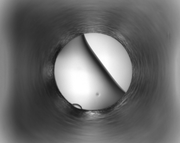 X0000088710477200705311042