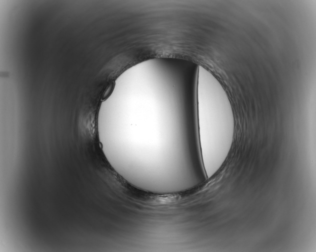 X0000088710479200705311042