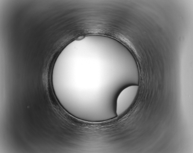 X0000088710482200705311041