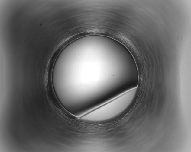X0000088710484200705311041