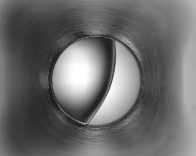 X0000088710489200705311041