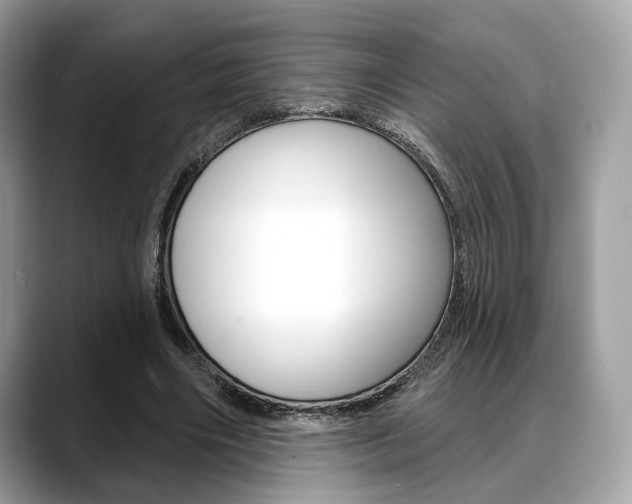 X0000088710490200705311041