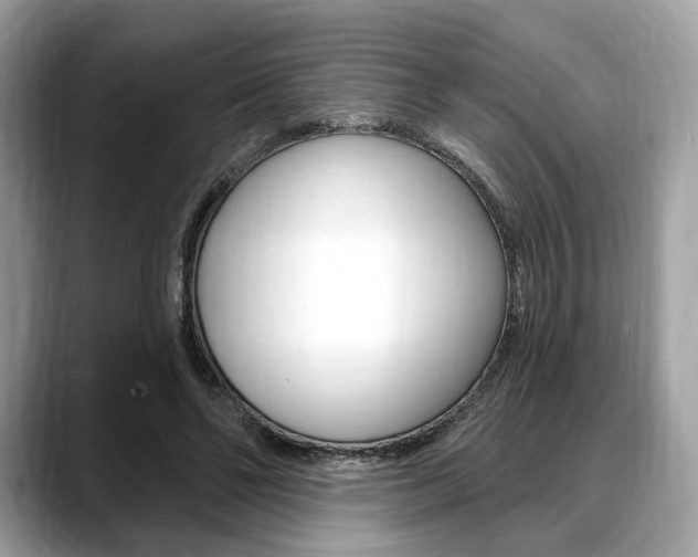 X0000088710494200705311041