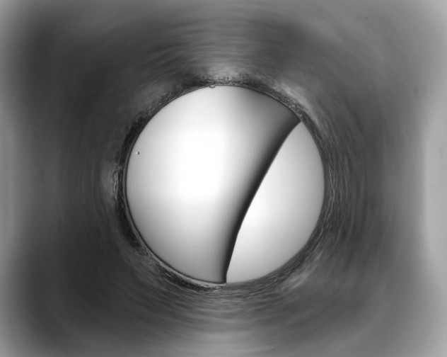 X0000088710495200705311041