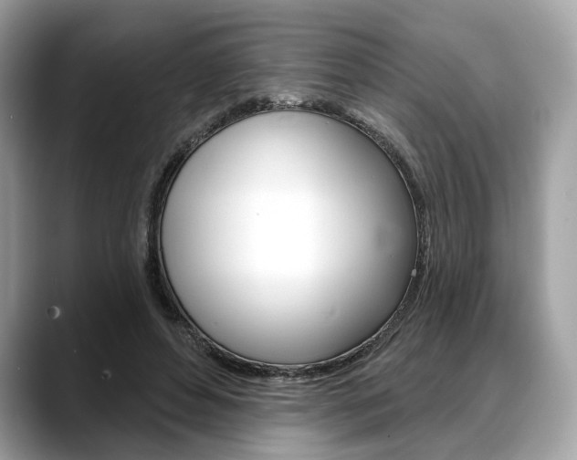 X0000088710496200705311041