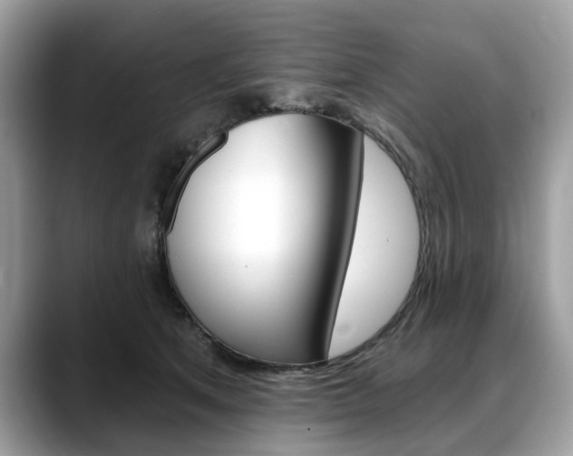 X0000088710513200705311041