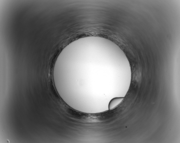X0000088710518200705311041