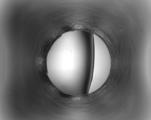 X0000088710521200705311041