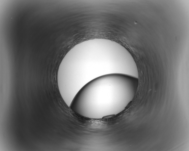 X0000088710528200705311041
