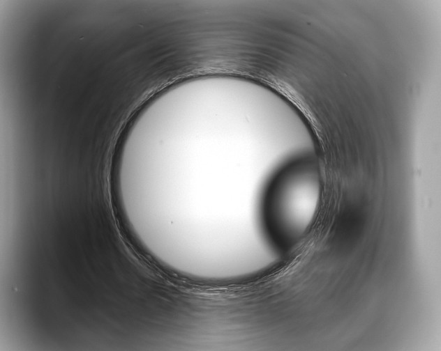 X0000088710530200705311040
