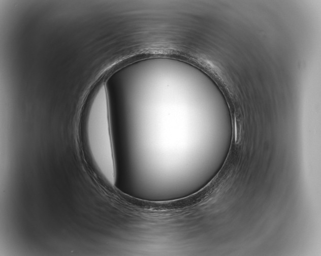 X0000088710531200705311040