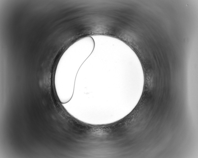 X0000088710534200705311040