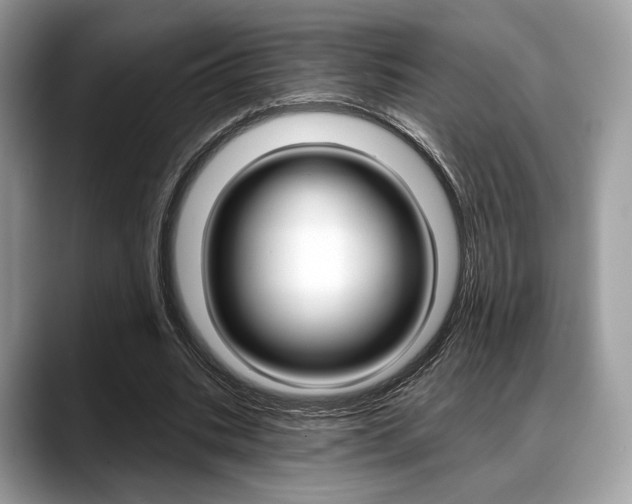 X0000088710535200705311040