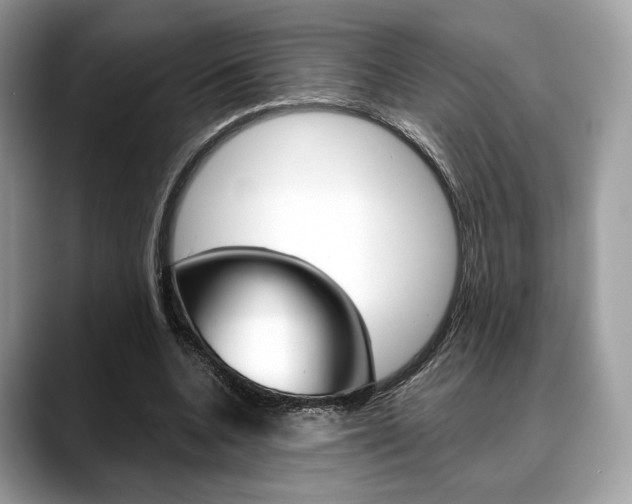 X0000088710536200705311040