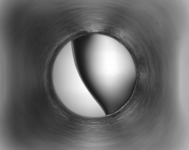 X0000088710539200705311040