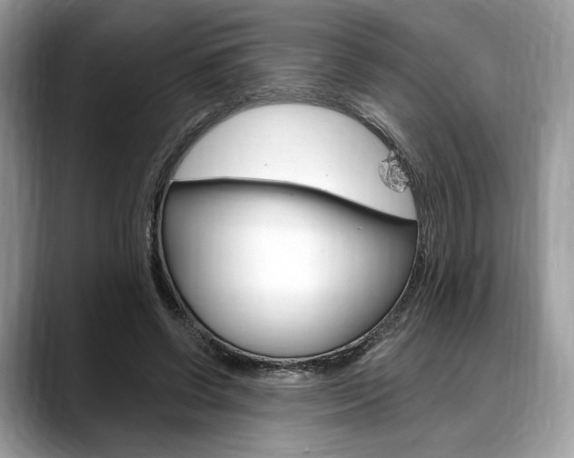 X0000088710542200705311040