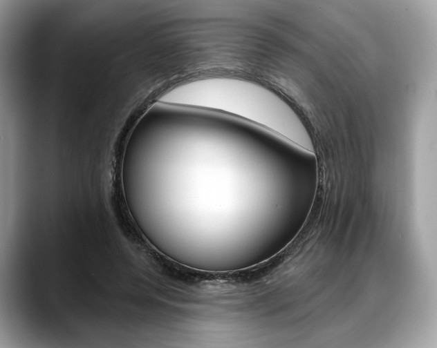 X0000088710544200705311040