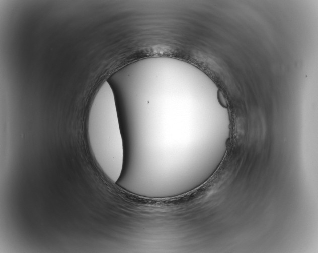 X0000088710545200705311040