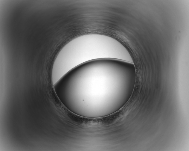 X0000088710546200705311040