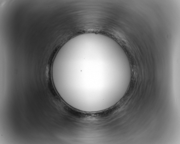 X0000088710550200705311040