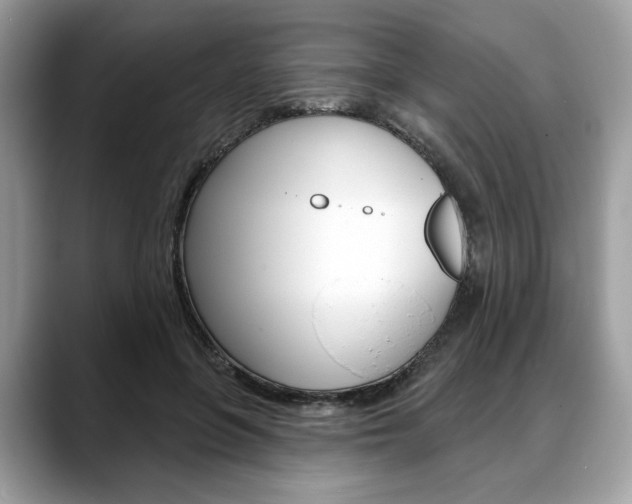 X0000088710551200705311040