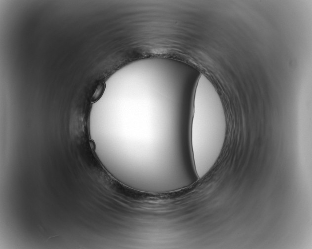 X0000088710555200705311040