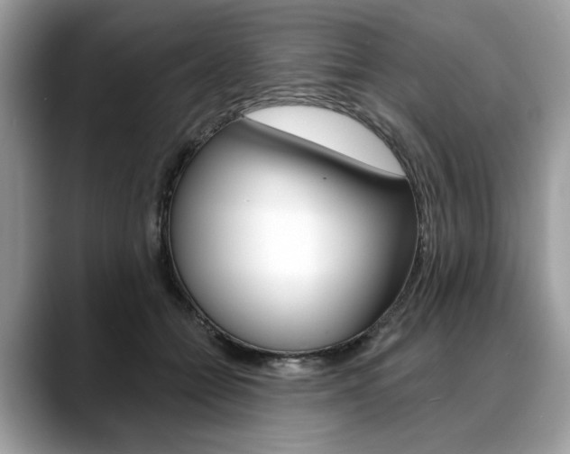 X0000088710558200705311040