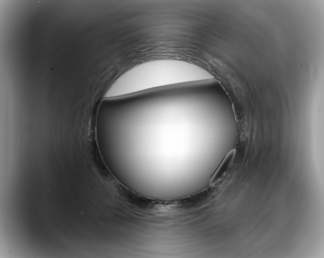 X0000088710560200705311040