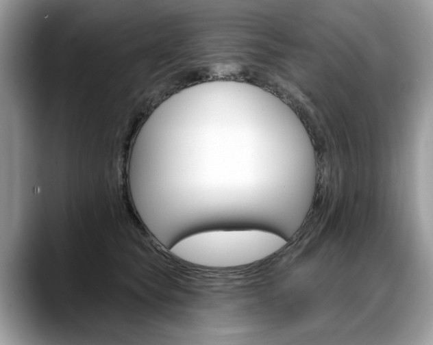 X0000088710565200705311040